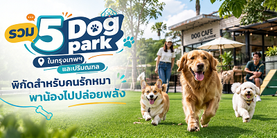 รวม 5 Pet Park และคาเฟ่น้องหมา